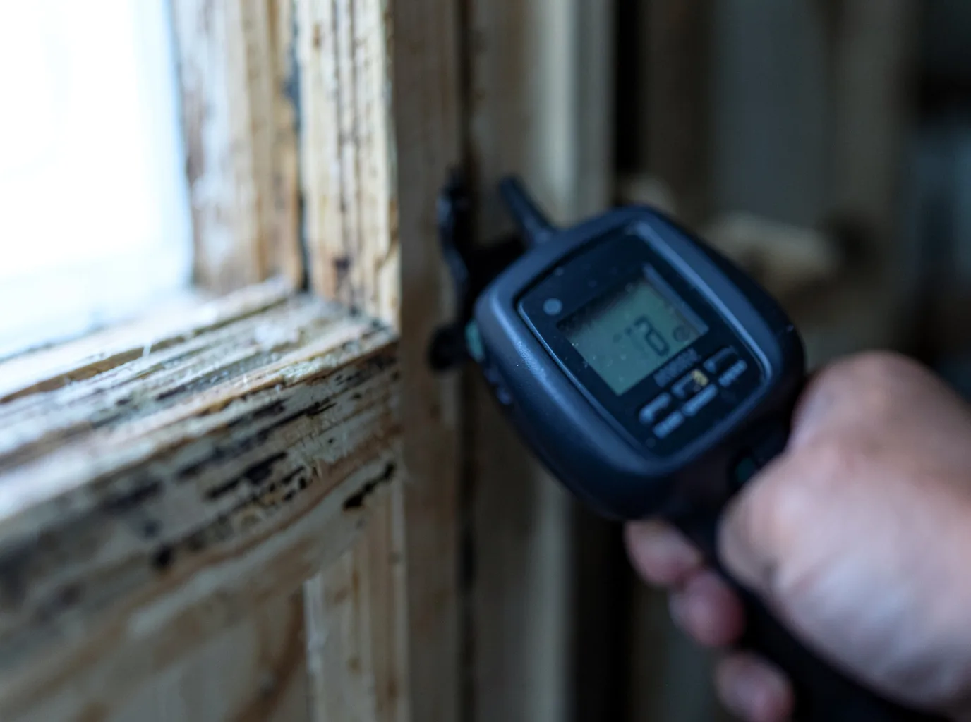 Moisture Inspection And Documentation in Mulberry, TN